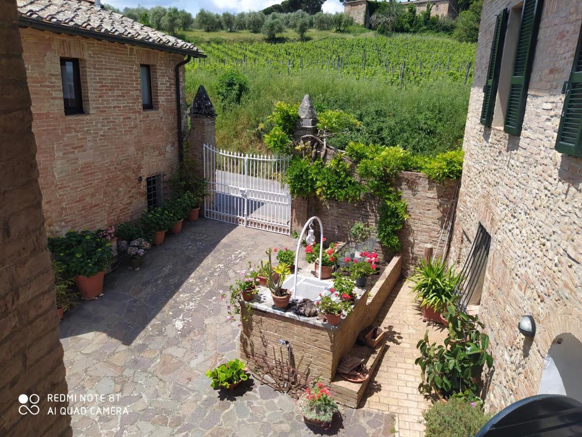 Vignano40