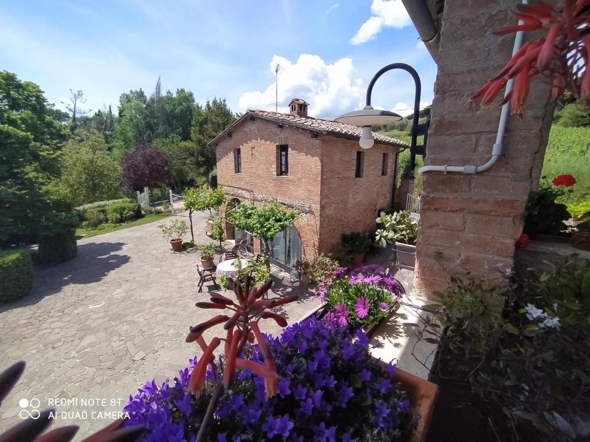 Vignano40