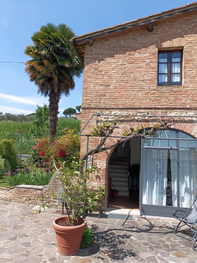 Vignano40 * Siena