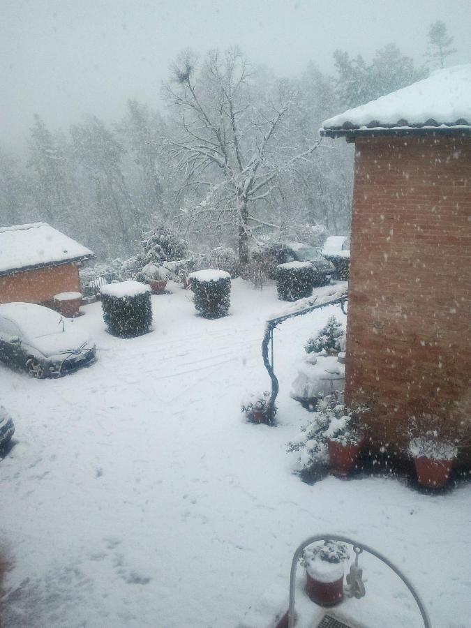 Vignano40 Holiday home *