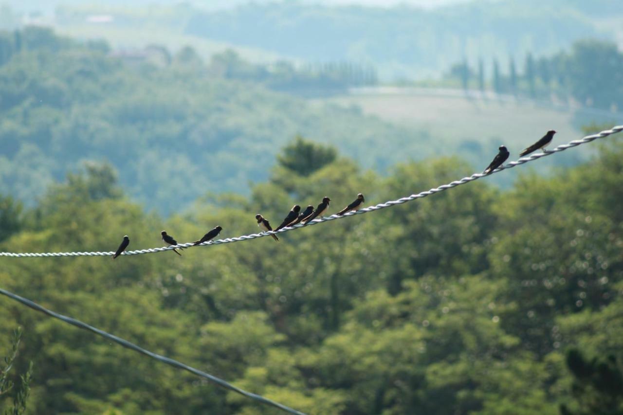 Vignano40 Holiday home Siena