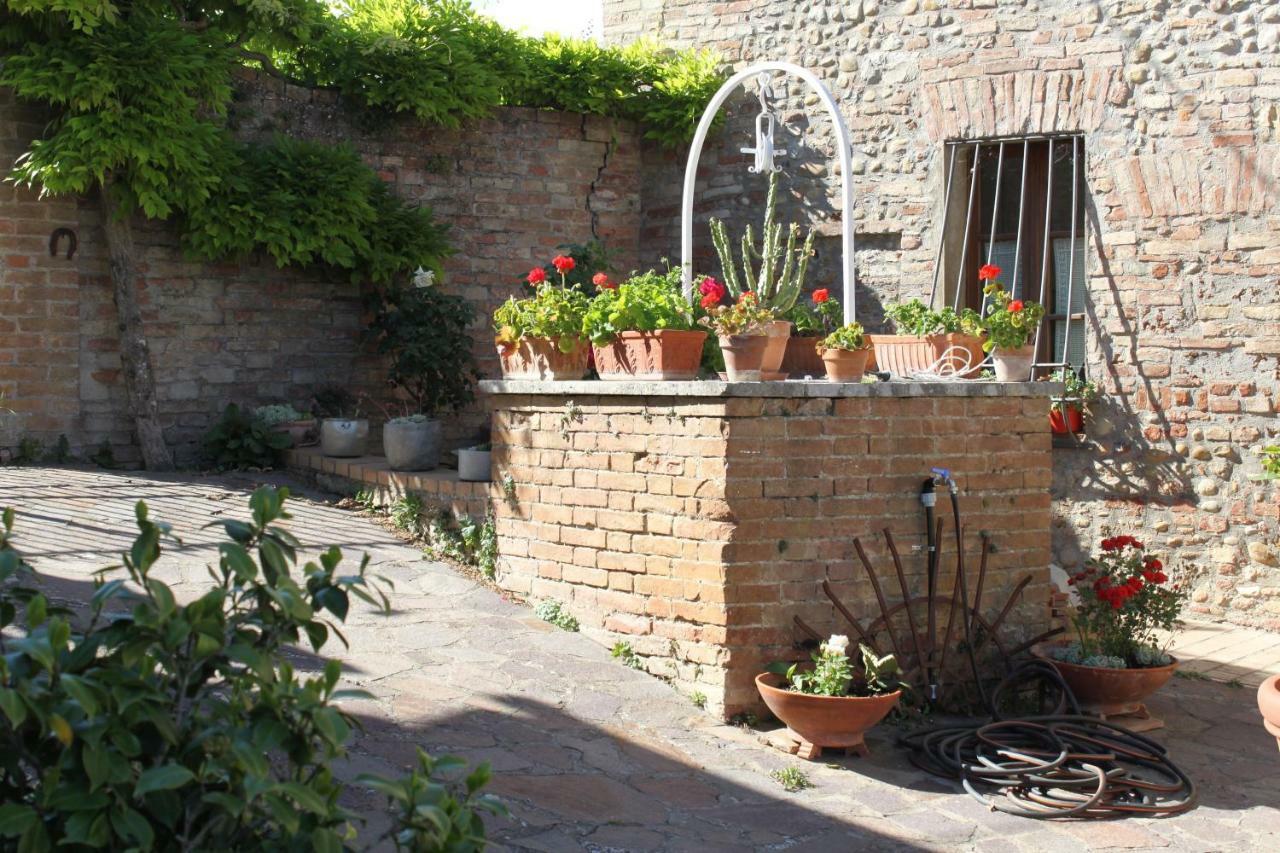 Vignano40 * Siena