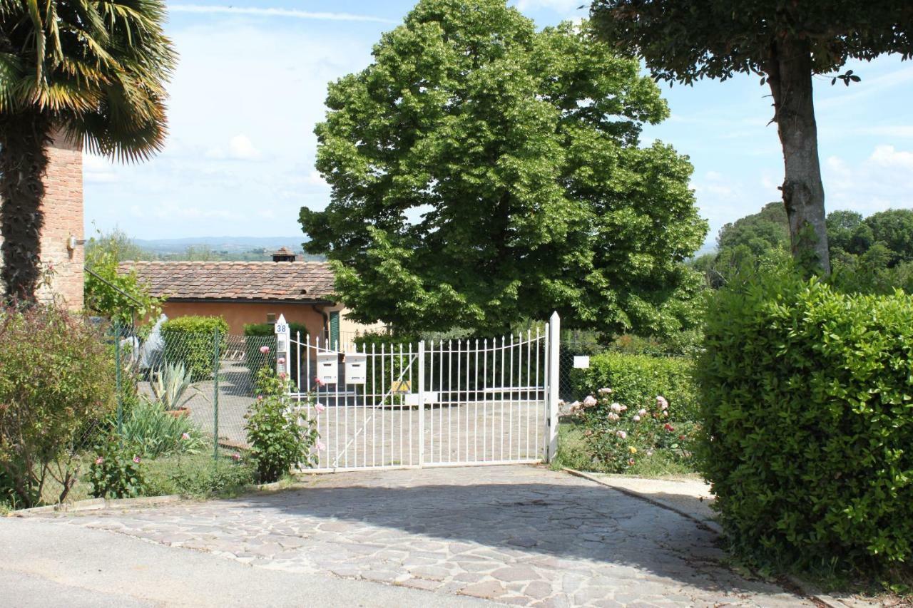 Vignano40