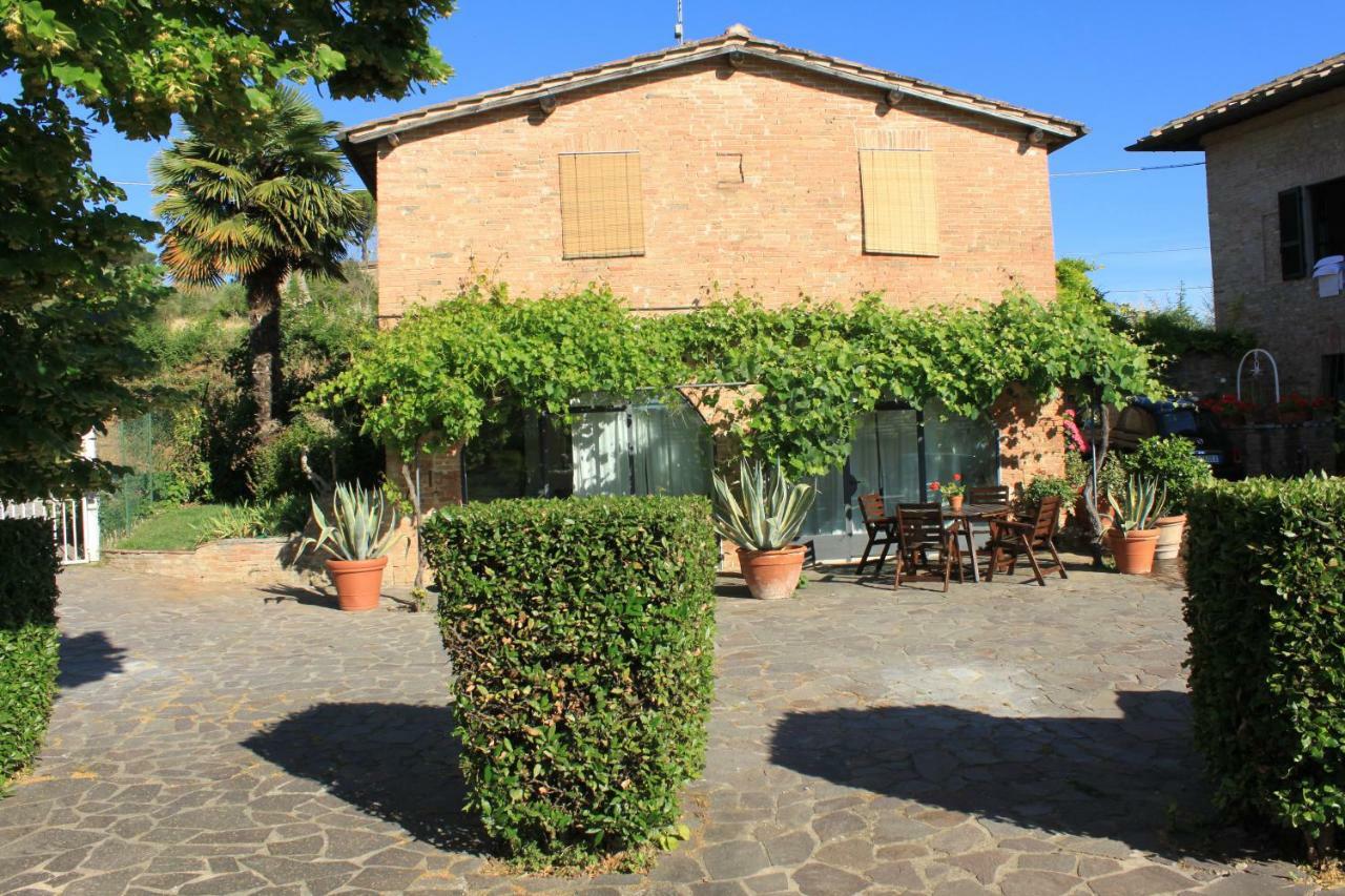 Vignano40 Siena