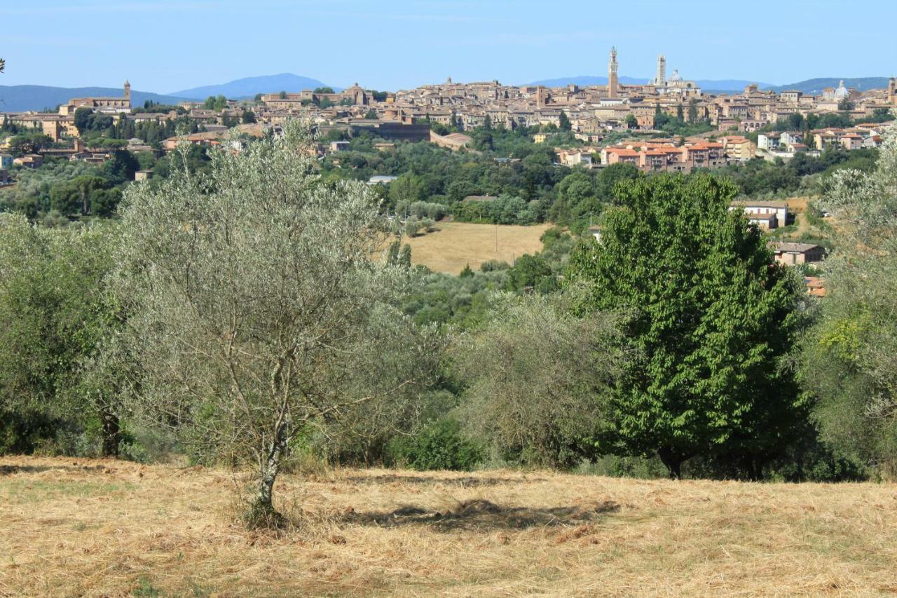 Holiday home Vignano40 Siena