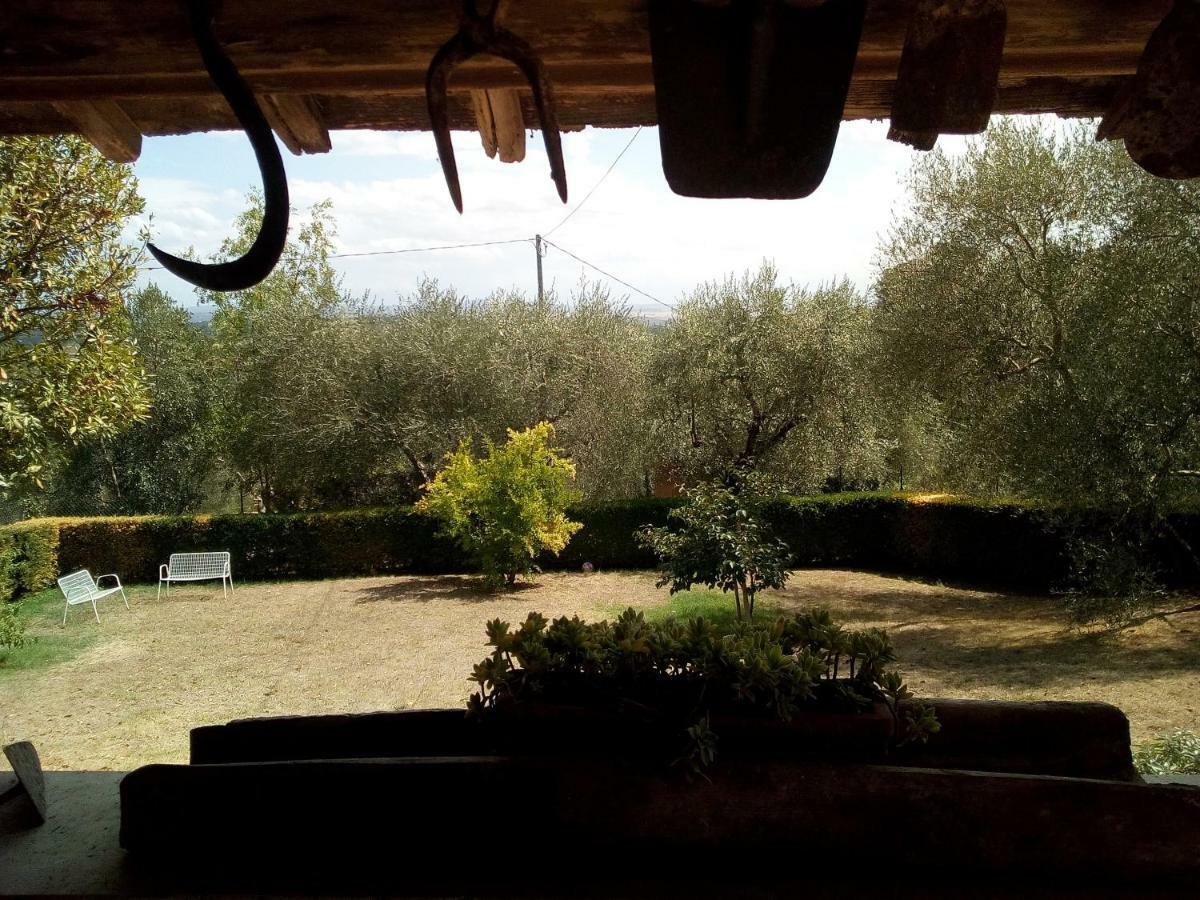 Vignano40 *
